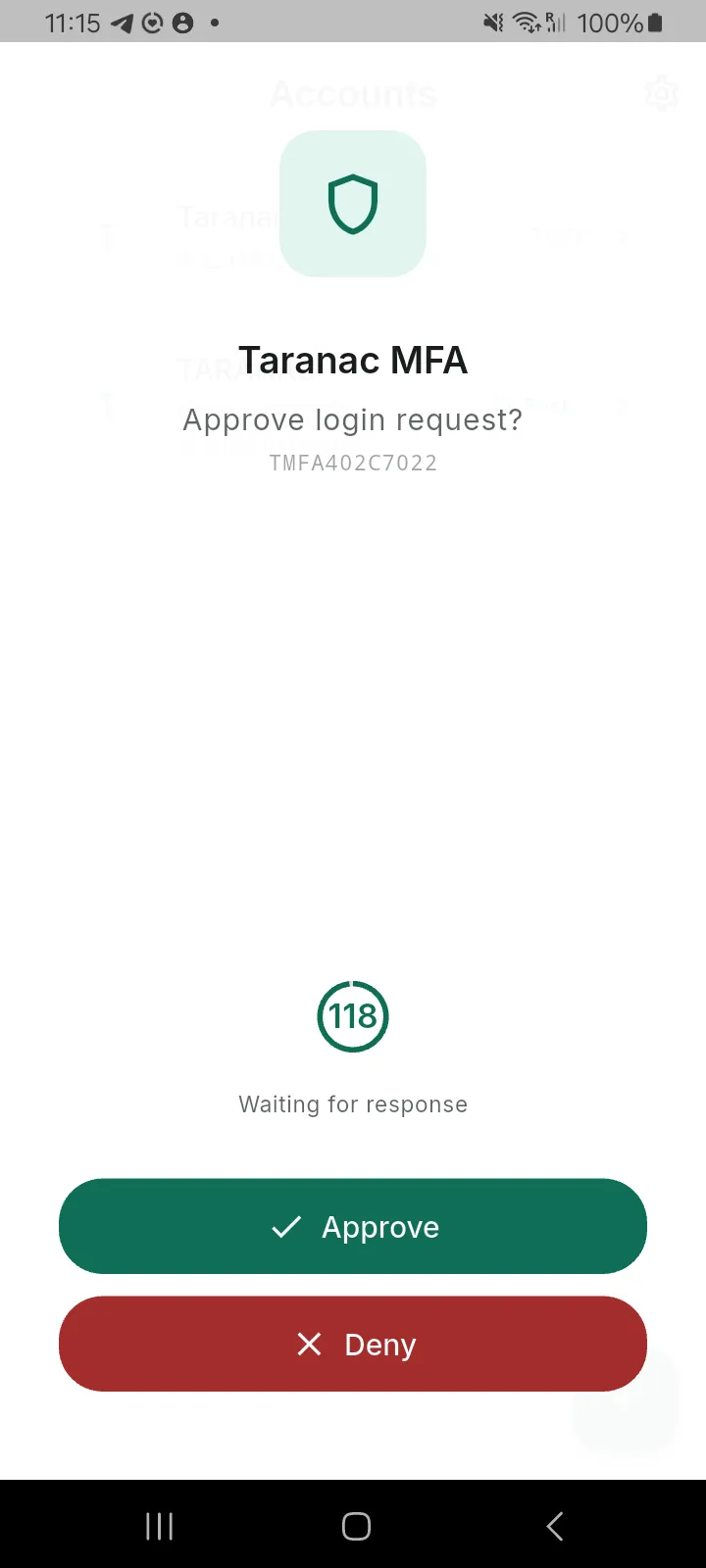 A push challenge with no context fields, showing only the request serial and a countdown